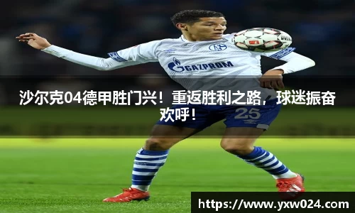 沙尔克04德甲胜门兴！重返胜利之路，球迷振奋欢呼！