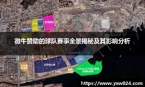 微牛赞助的球队赛事全景揭秘及其影响分析
